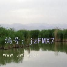 Ŀ