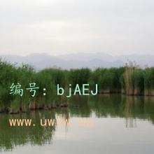 Ŀ