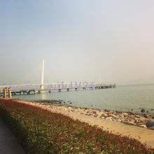 ˲