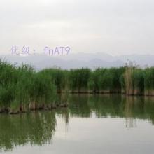 Ӱ