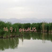 Ӱ