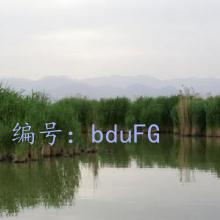 ת