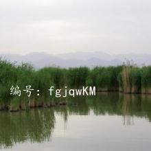 Ȼ