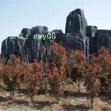 ĩ