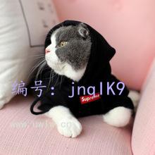 ʨ