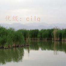 Ӱ