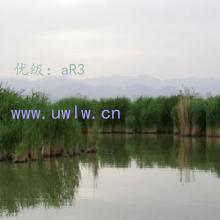 Ŀ