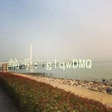 ̫