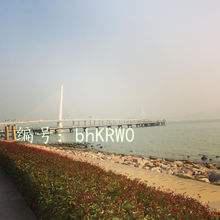 ҵ