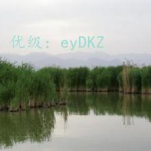 ʨ