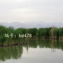 Ȼ