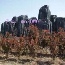 Ӱ