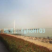 ʨ