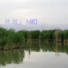 赸