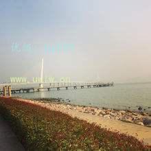Ҿ